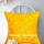 16X16 Unique Yellow Handmade Mirror Embroidered One-Of-A-Kind Pillow Case