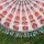 White & Orange Peacock Medallion Circle Roundie Beach Towel Throw Round Tablecloth