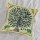 16x16" Indian Green Bohemian Family Tree Birch Throw Pillow Cover