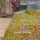 Multi Bohemian Supreme Old Vintage Reversible Cotton Kantha Throw Blanket