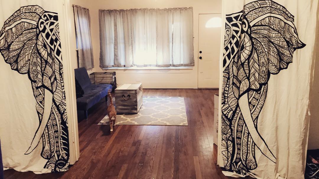 These tapestry curtains are life. #royalfurnish #tapestry #tapestrycurtains #yogaroom #yogabody #elephant