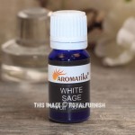 Premium White Sage Fragrance Oil - Scented Oil 10 ML
