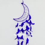 Purple Moon Shaped Dream Catcher