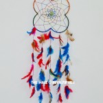 Colorful Spider Web Dream Catcher