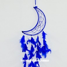 Blue Moon Shaped Dream Catcher