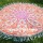 Orange Ombre Medallion Circle Beach Roundie Towel Throw