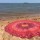 Red Hippie Plum & Bow Mandala Medallion Roundie Beach Throw