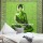 Green Buddha Meditation and Lotus Cotton Wall Hanging Tapestry From India