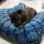 Blue Multi Medallion Square Floor Pillow Cover 36x36