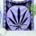 Large Purple & Black Hempest Marijuana Leaf Cannabis Weed Tapestry Wall Hanging