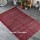 Maroon Multicolored Bohemian Cotton Area Rug 3X5 Ft