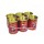 Natural Premium Pure Myrrh Incense Resin - Set of six 1.3 lb - 300 GM
