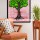 Pink & Green Sacred Tree Tapestry - Poster Size 30X45 Inch